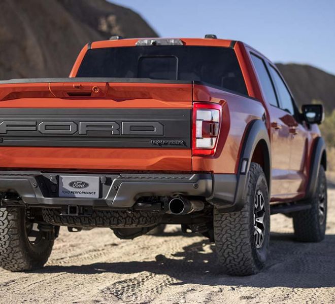LOBO RAPTOR 2