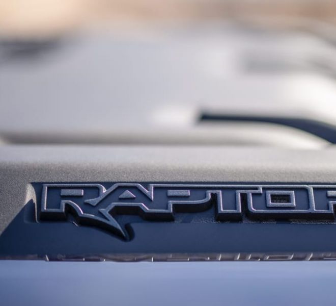 LOBO RAPTOR